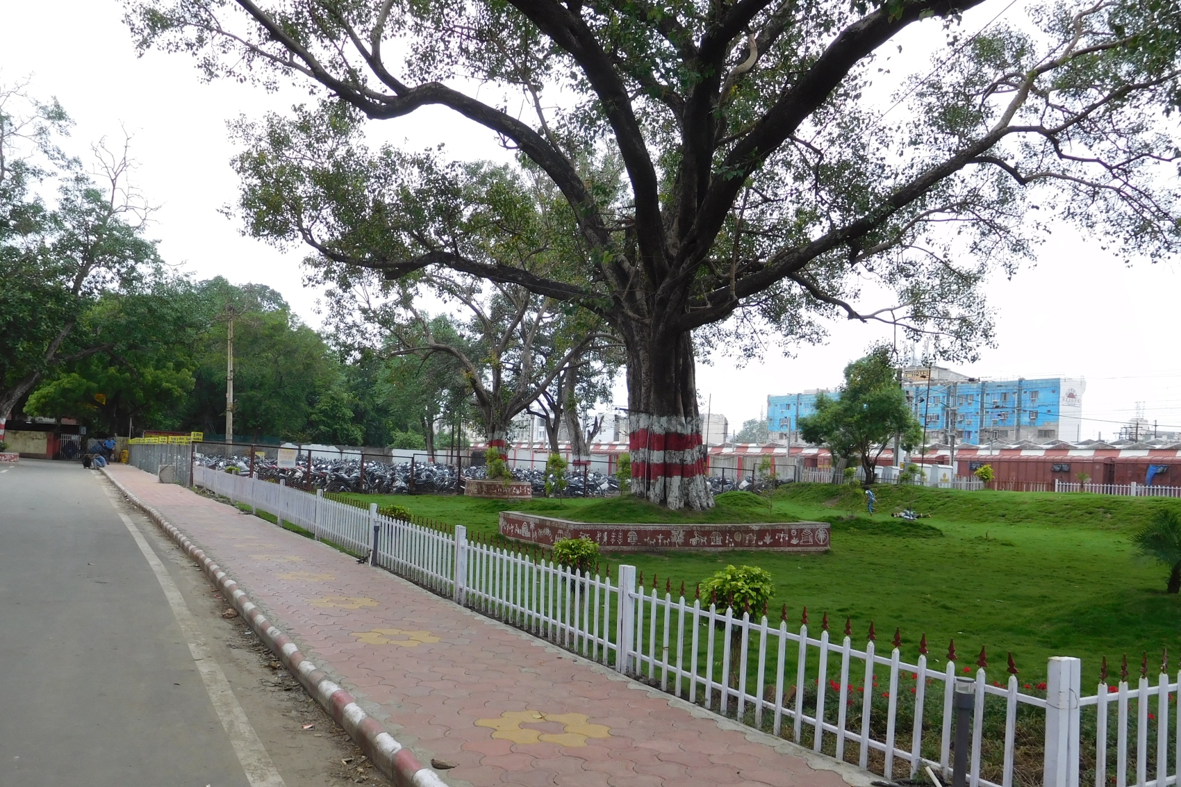 Free Template by adinetra.com